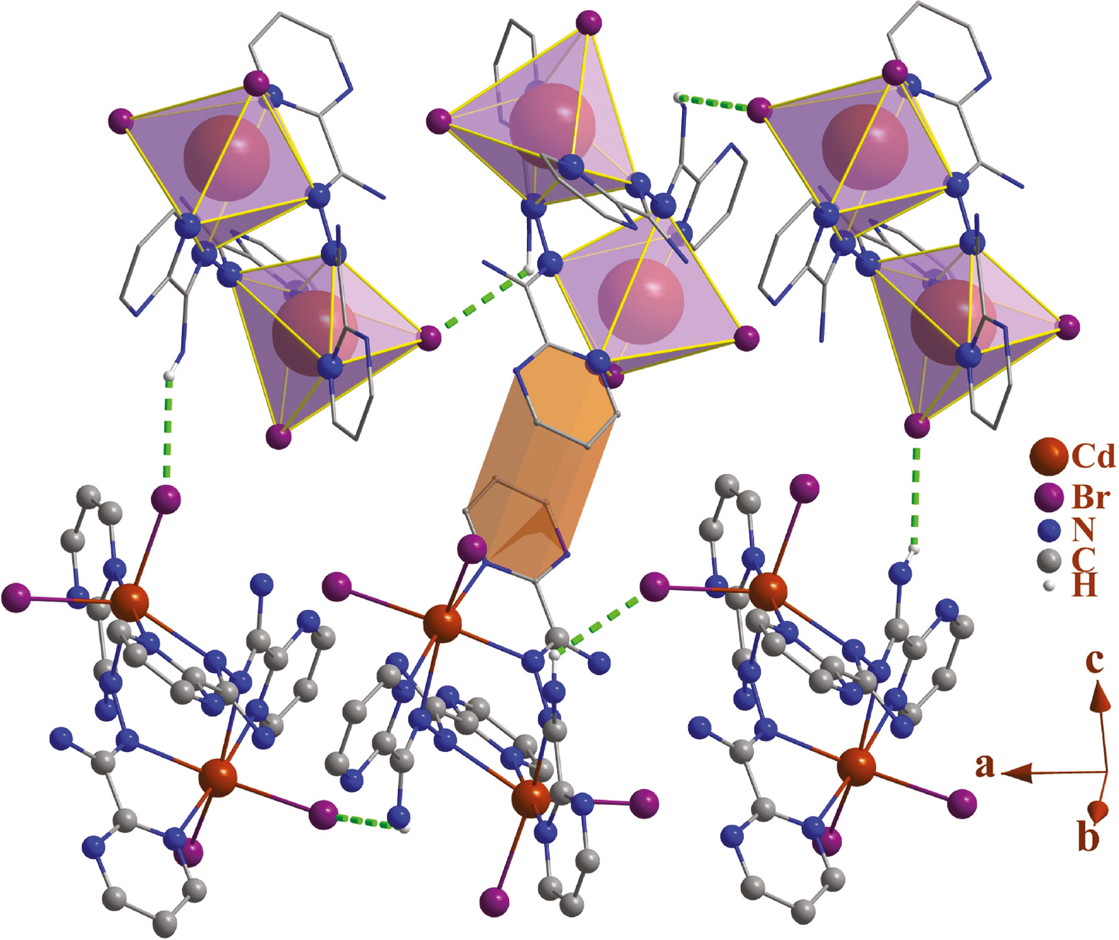Fig. 2: Packing of molecules 1 in the crystal showing the R66(46)${\rm{R}}_{\rm{6}}^{\rm{6}}(46)$ hydrogen bond motifs. Each CdN4Br2 unit is shown as an octahedron (lavender highlights). π-π stacking interaction is highlighted as orange.