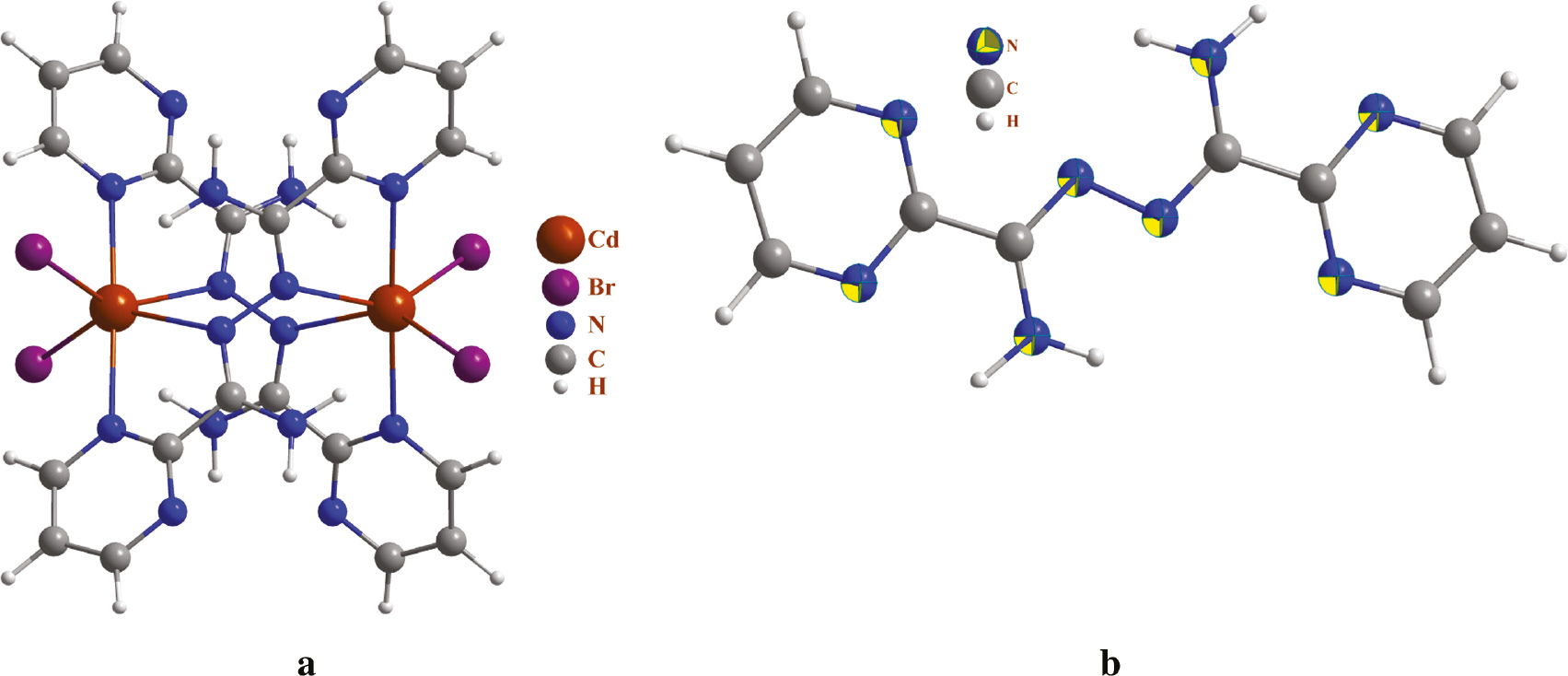 Fig. 3: Optimized structure of the complex 1opt (a) and APPH ligand (b).