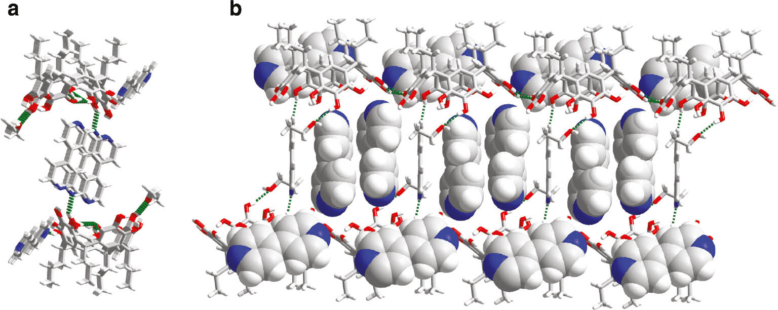 Fig. 1: Molecular packing diagram of (PgC3)·3(bpy)·(EtOH) (1), showing the hydrogen-bonded network. (a) View of the bpy guests at the base of two PgC3 units; (b) View of two other bpy molecules as guests within each cavity in the molecular packing diagram.