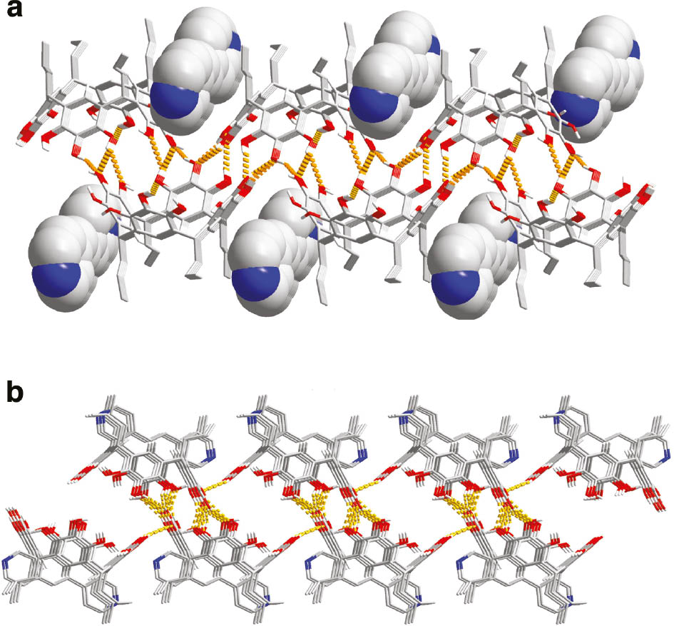 Fig. 2: Molecular packing diagram of (PgC3)·(bpe)·2(EtOH)·(H2O) (2), showing the hydrogen-bonded network. Ethanol and water molecules are omitted for clarity. (a) The wave chain propagates along the crystallographic b axis; (b) the parallel chains propagate along the crystallographic a axis.