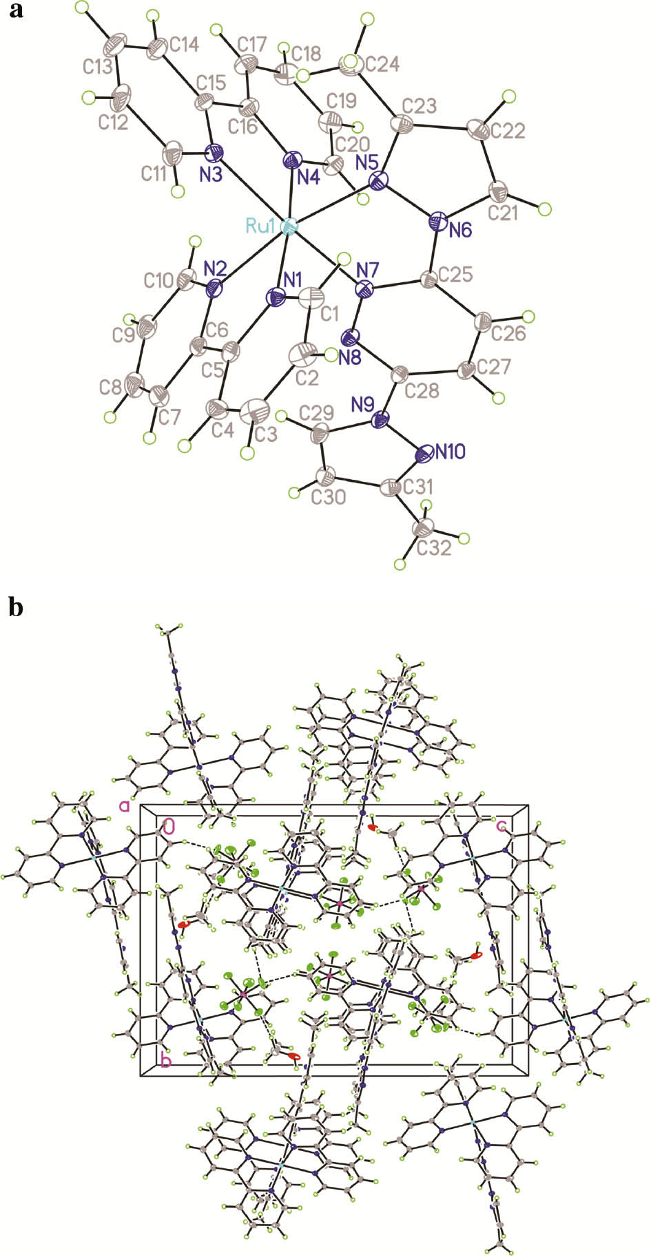Fig. 1: (a) Molecular structure of the cation [Ru(L1)(bpy)2]2+ of the complex 1·EtOH. The ethanol solvent molecule and the counter anions of PF6‒ are omitted for clarity. (b) Packing diagram of 1·EtOH in a unit cell, viewed along the crystallographic bc plane. C‒H···F and C‒H···N hydrogen bonds are shown as dashed lines.