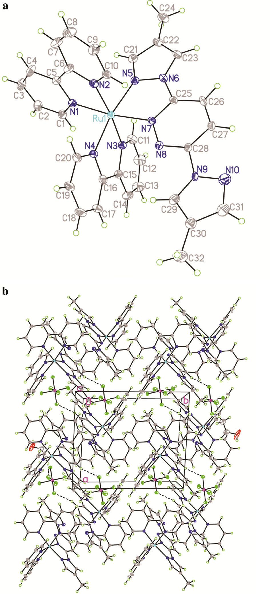 Fig. 2: (a) Molecular structure of the cation [Ru(L2)(bpy)2]2+ of the complex 2·EtOH. The ethanol solvent molecule and the counter anions of PF6‒ are omitted for clarity. (b) Packing diagram of 2·EtOH in a unit cell, viewed along the crystallographic ab plane. C‒H···F and C‒H···N hydrogen bonds are shown as dashed lines.