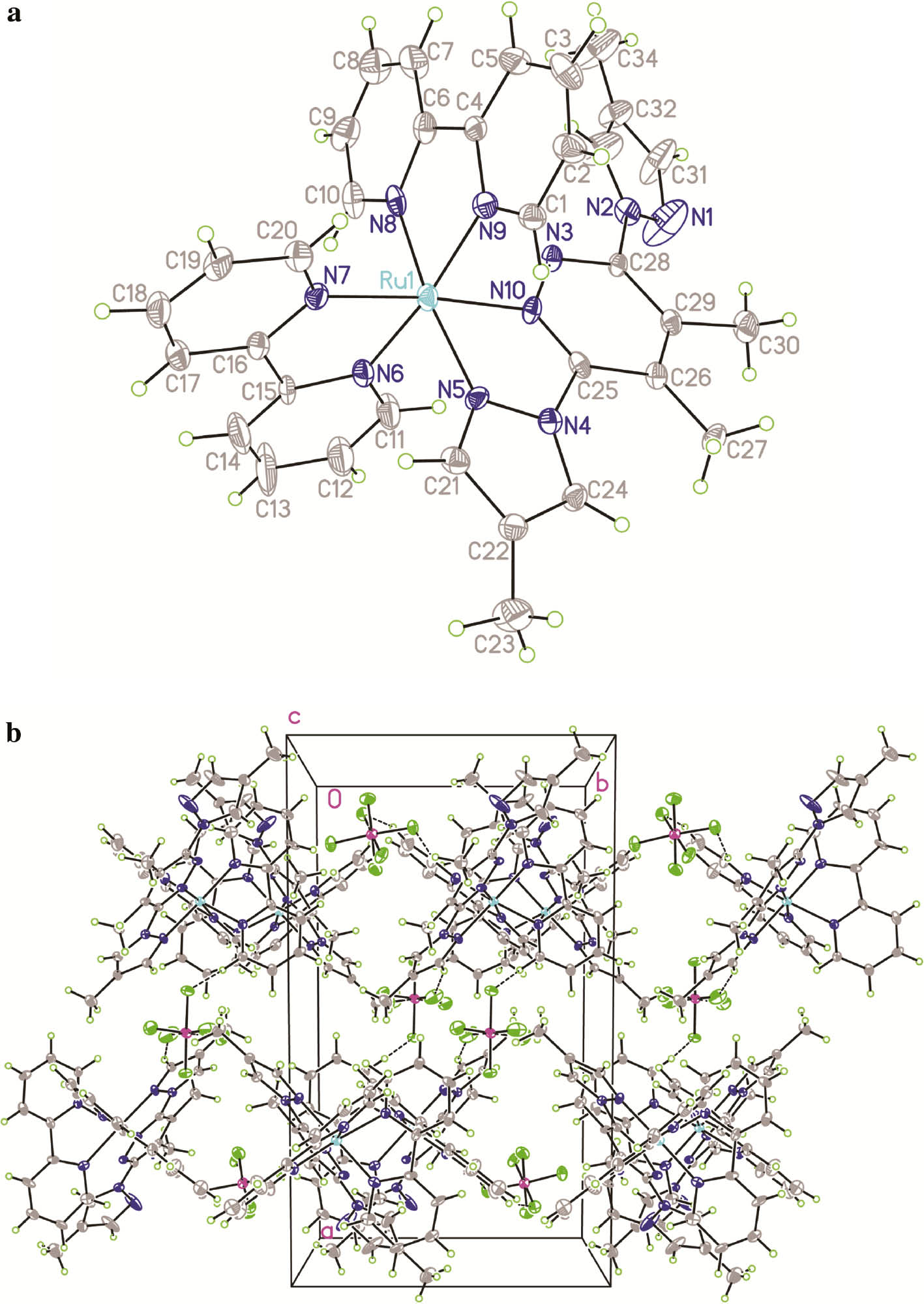 Fig. 3: (a) Molecular structure of the cation [Ru(L3)(bpy)2]2+ of complex 3. The ethanol solvent molecule and the counter anions of PF6‒ are omitted for clarity. (b) Packing diagram of 3 in a unit cell, viewed along the crystallographic ab plane. C‒H···F and C‒H···N hydrogen bonds are shown as dashed lines.