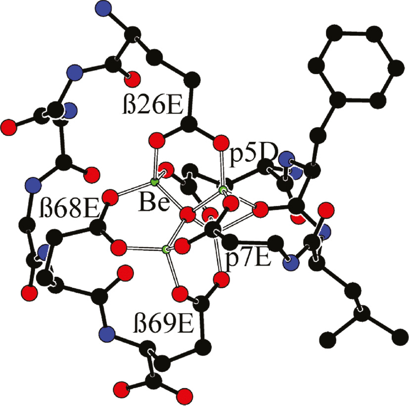 Fig. 2: 
DFT (PBE0+D3/def2-TZVP) optimized structure of the minimal [Be4O(EGGGEE)(DLFE)]+ model (3
+) for the coordination site S in 1, hydrogen atoms omitted for clarity and labels corresponding to the respective positions in 1, see also Fig. 1d).
