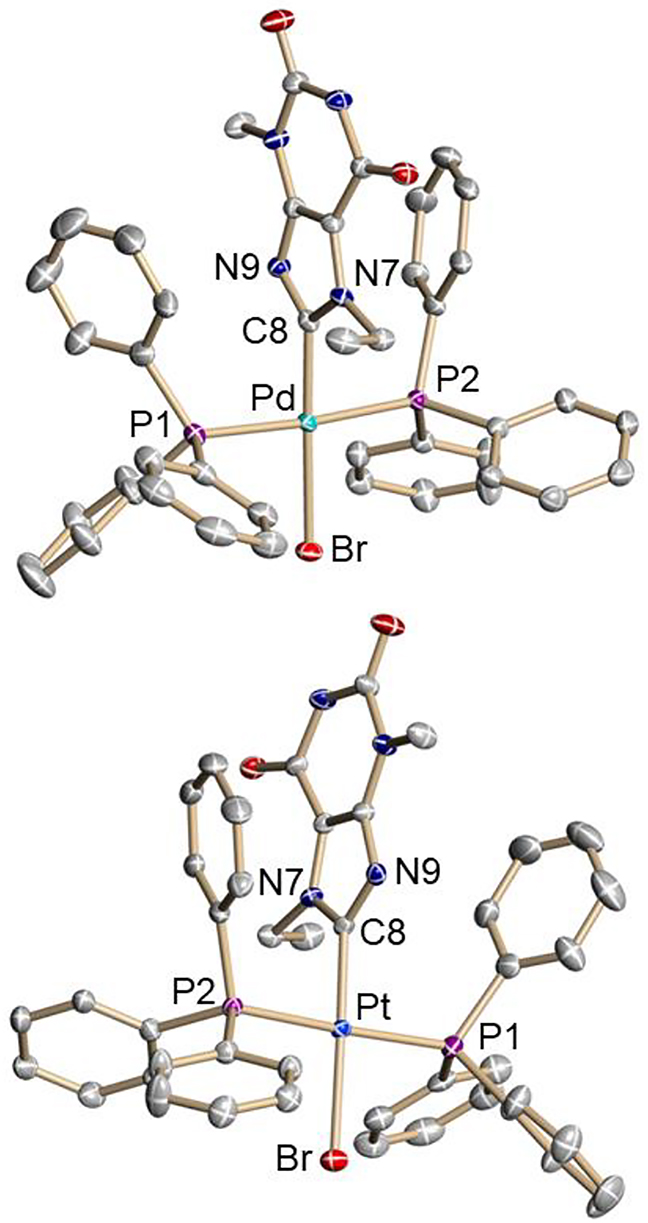 Figure 1: Molecular structures of trans-[2] in crystals of trans-[2]·2CH2Cl2 (top) and trans-[3] in crystalline trans-[3]·2CH2Cl2 (bottom).Hydrogen atoms have been omitted for clarity and 50% displace-ment ellipsoids are depicted. Selected bond lengths (Å) and angles (deg) for trans-[2] [trans-[3]]: M–Br 2.4882(3) [2.4943(4)], M–P1 2.3334(6) [2.3169(9)], M–P2 2.3416(6) [2.3241(9)], M–C8 1.980(2) [1.982(3)], N7–C8 1.365(3) [1.366(4)], N9–C8 1.347(3) [1.351(4)]; Br–M–P1 91.080(2) [90.10(3)], Br–M–P2 92.72(2) [91.71(2)], Br–M–C8 176.65(7) [177.38(10)], P1–M–P2 175.19(2) [176.73(3)], P1–M–C8 88.70(6) [89.77(10)], P2–M–C8 87.68(6) [88.54(10)], N7–C8–N9 111.5(2) [111.1(3)].