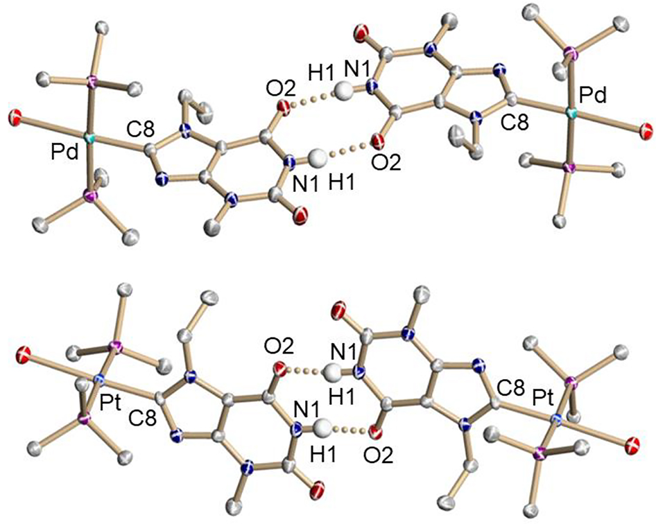 Figure 2: Hydrogen bonds between two molecules of trans-[2] (top) and trans-[3] (bottom) in the crystal structures of trans-[2]·2CH2Cl2 and trans-[3]·2CH2Cl2, respectively. Displacement ellipsoids are drawn at the 50% probability level. Hydrogen atoms except for H1 have been omitted for clarity. Selected bond lengths (Å) and angles (deg) for trans-[2] [trans-[3]]: O2⋅⋅⋅N1 2.828 [2.821], O2⋅⋅⋅H–N1 169.7 [168.2].