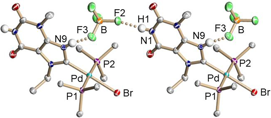 Figure 4: Intermolecular interactions in the crystal structure of trans-[4]BF4. Displacement ellipsoids are drawn at the 50% probability level. Hydrogen atoms, except for N1–H and N9–H, have been omitted for clarity. Selected hydrogen bond lengths (Å): N9⋅⋅⋅F3 2.725 Å, N1⋅⋅⋅F2 2.878 Å.