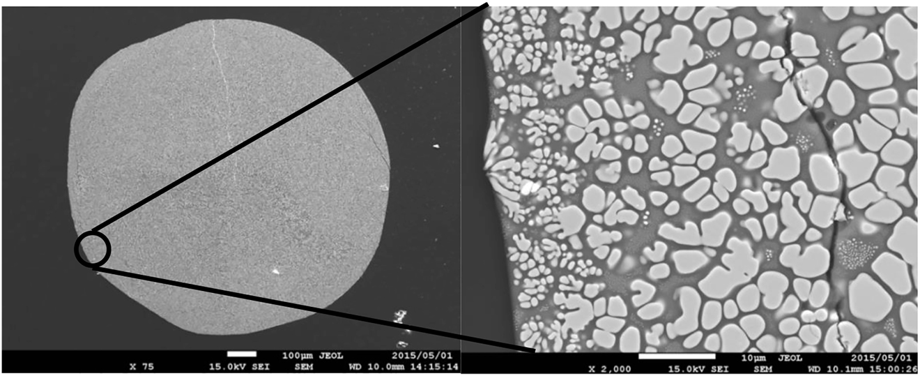Figure 5: 
The representative SEM image of the quenched glass sample from ZrSiO4 melt at T = 1800 °C. Dark and bright areas are glass and ZrO2 crystals, respectively.
