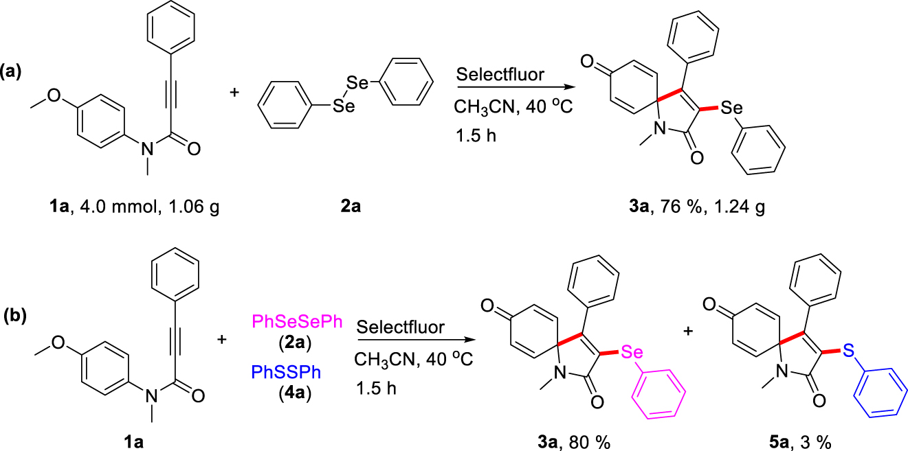Scheme 2: 
Investigation and application of this protocol.
(a) Gram-scale synthesis experiment. (b) Intermolecular competition experiments.

