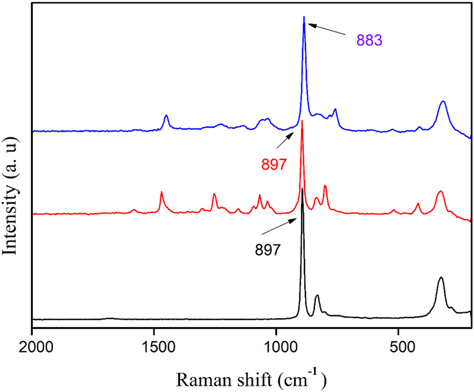 Figure 6: 
Raman spectra of a solid sample of 1 (in blue); compound 1 in water (red); an aqueous mixture containing Na2MoO4·2H2O and LH (black).