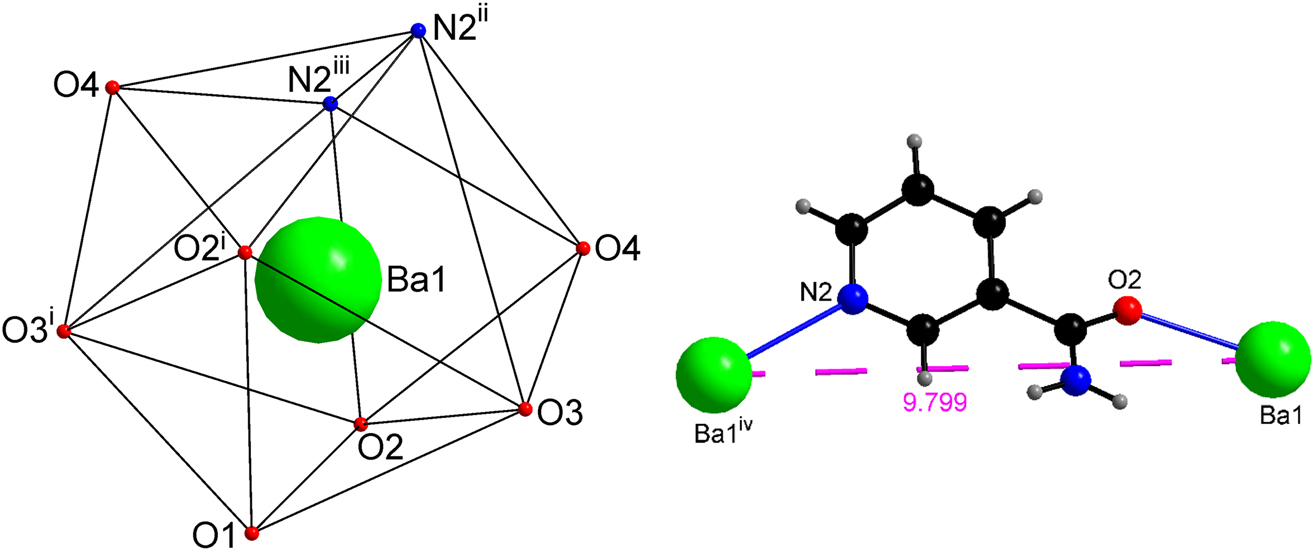Figure 2: 
The distorted tricapped trigonal prismatic {BaO7N2} coordination polyhedron (left). The (N, O) donor nic ligand bridges two symmetry related Ba cations (right). For symmetry code see Table 2.