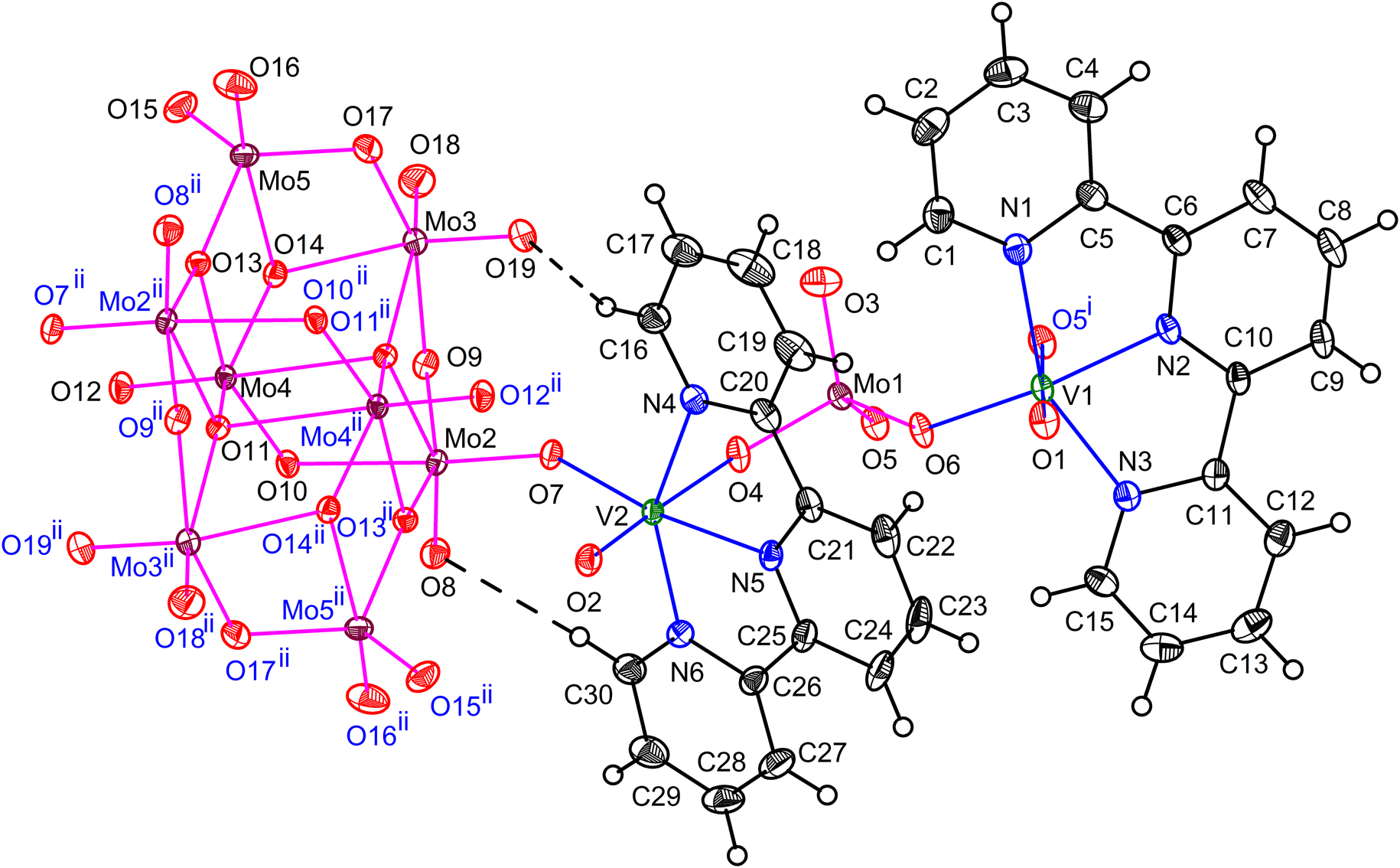 Figure 1: 
The asymmetric unit of 1 showing sixfold coordination around V1 and V2. Displacement ellipsoids are drawn at 30% probability level for all the non-hydrogen atoms. Intramolecular H-bonding is shown as broken lines. For clarity, symmetry generated atoms are labelled in blue.
Symmetry code: (i) –x, –y + 1, –z + 1 (ii) –x + 1, –y + 2, –z + 2.