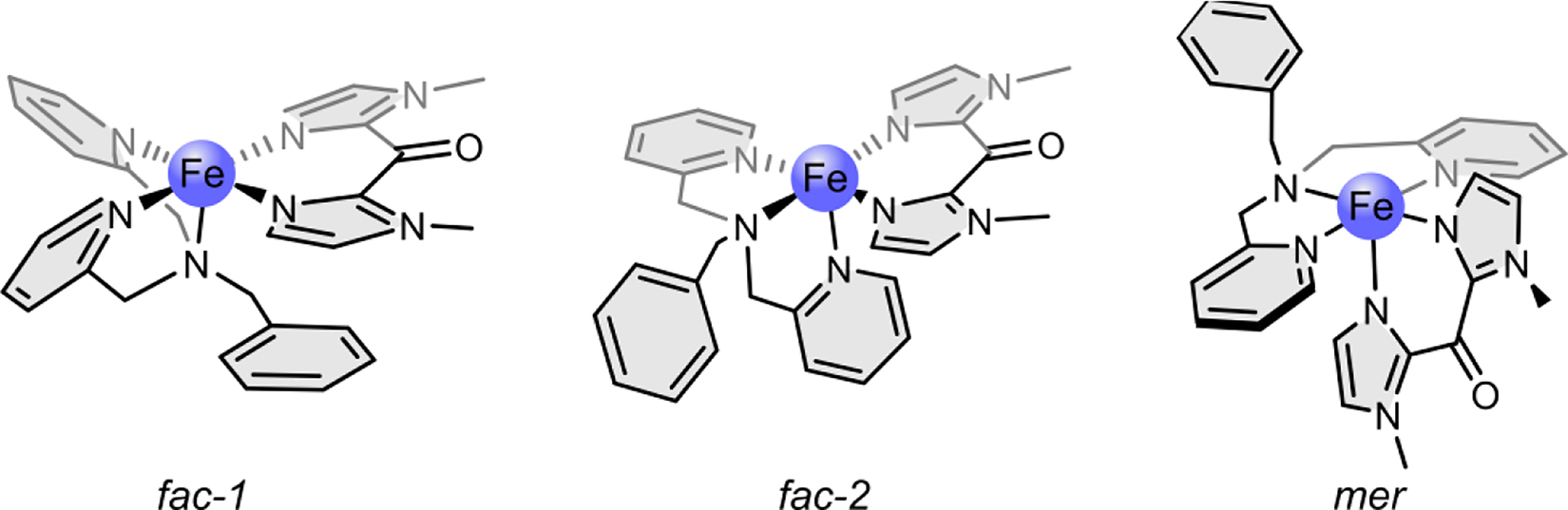 Scheme 2: 
Complex 1 in its three possible isomers: fac-1, fac-2, and mer.