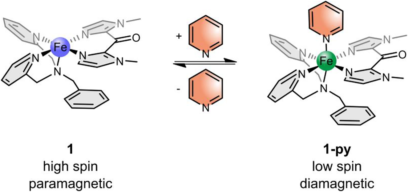 Scheme 3: 
Coordination-Induced Spin State Switching (CISSS) complex 1 in its paramagnetic square-pyramidal isomer (left, 1) and its diamagnetic octahedral isomer (right, 1-py). By coordination or decoordination of pyridine the spin state changes.