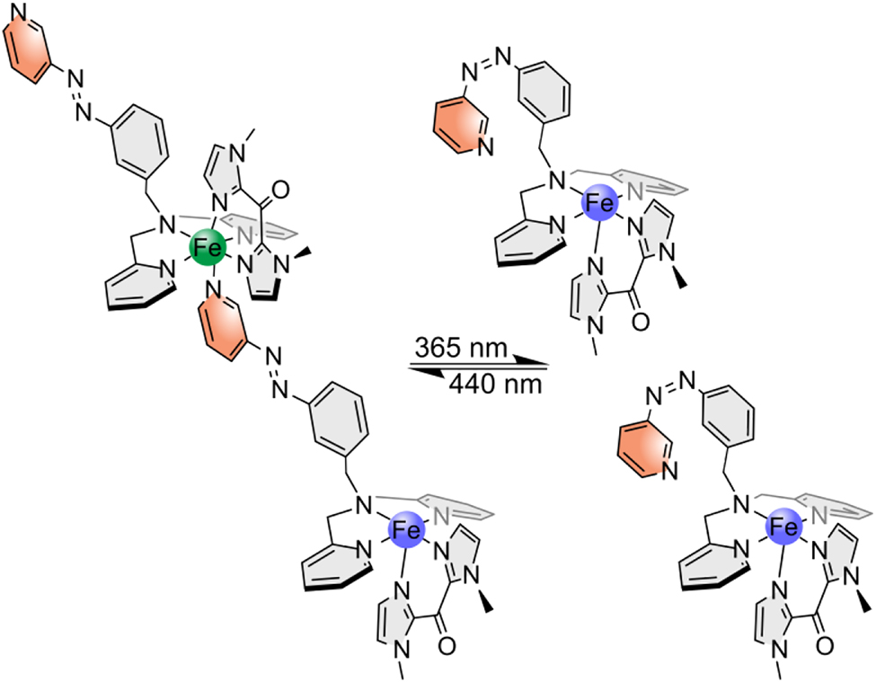 Scheme 7: 
Assumed intermolecular LD-CISSS of complex 2: in trans configuration the switching unit coordinates to another complex and octahedral diamagnetic complexes are created (left); in cis configuration, the azo unit decoordinates and square pyramidal paramagnetic complexes are generated (right).