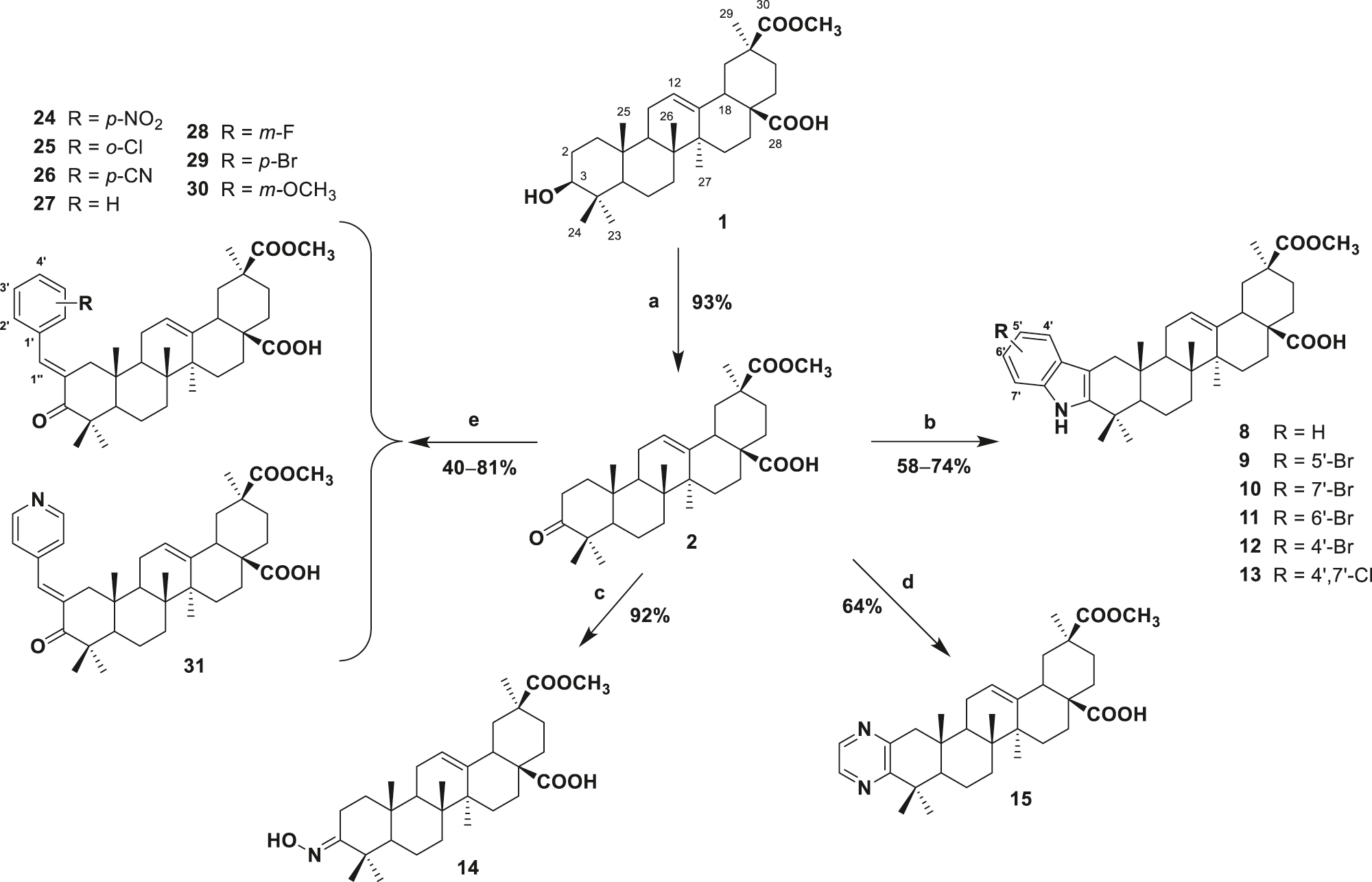 Scheme 1: 
Reagents and conditions: (a) K2Cr2O7–H2SO4, acetone (0 °C); (b) aromatic hydrazine, AcOH, reflux (4 h); (c) NH2OH·HCl, pyridine, reflux (3 h); (d) sulphur, ethylenediamine, morpholine, reflux (6 h); (e) substituted benzaldehyde, ethanolic KOH, r.t. (24 h).

