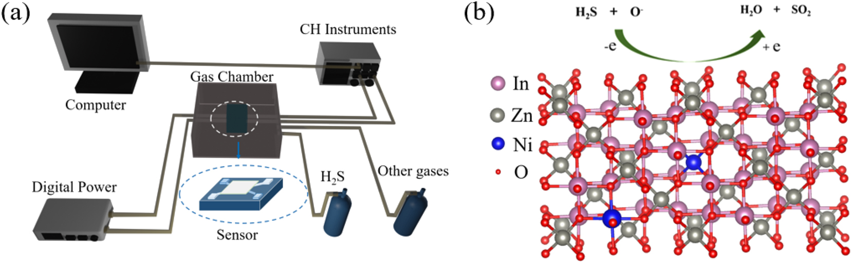 Figure 1: 
The gas sensor system. (a) MEMS sensor H2S monitoring experimental device diagram, (b) gas sensing mechanism of Ni–In2O3/ZnO.
