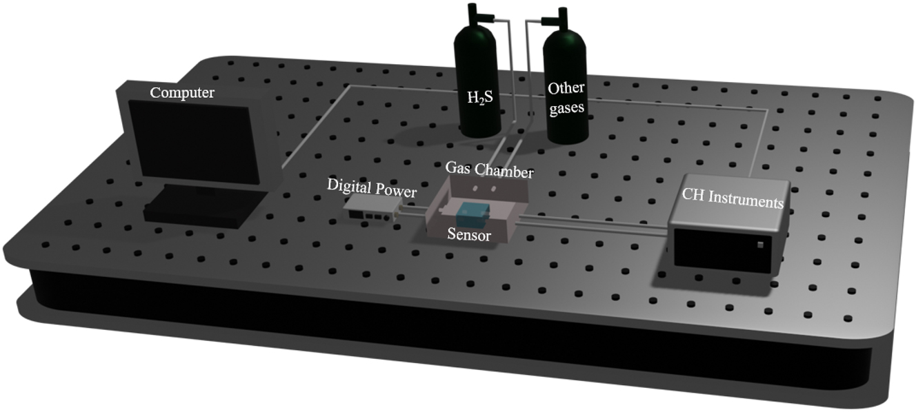 Figure 1: 
Diagram of the experimental setup for H2S monitoring using a microsensor.
