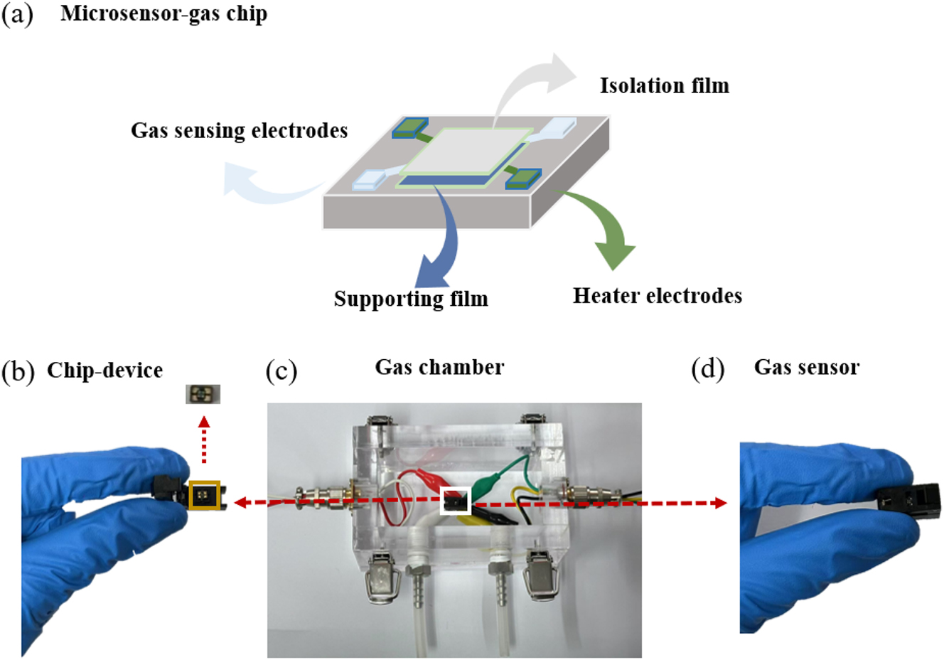 Figure 2: 
Microsensor of (a) internal structure of the chip, (b) the chip, (c) the chamber, and (d) the gas sensor device.
