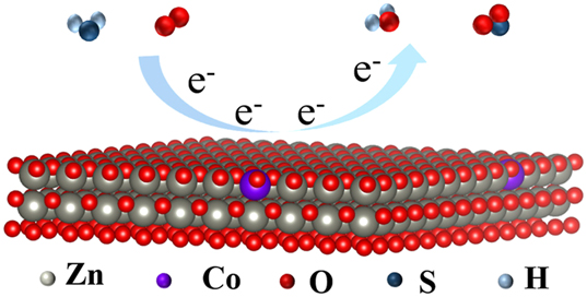Figure 12: 
Gas sensing mechanism of Co
x
Zn1−x
O.
