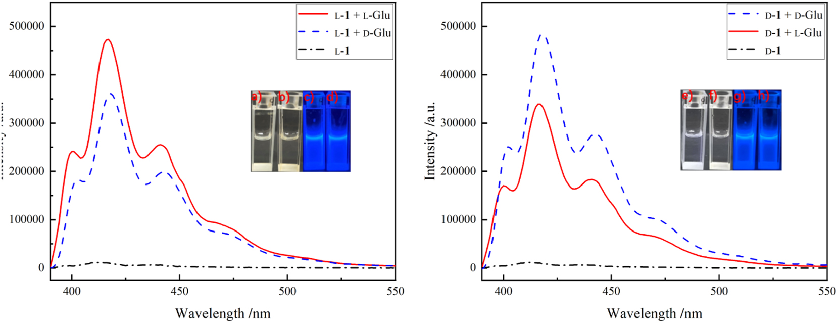 Figure 13:
Emission spectra of l-1 mixing with d- and l-Glu (left) and d-1 mixing with d- and l-Glu (right) (λ
ex = 380 nm). Insets are photographs of (a) l-1 + l-Glu, (b) l-1 + d-Glu, (e) d-1 + l-Glu, (f) d-1 + d-Glu under natural light; (c) l-1 + l-Glu, (d) l-1 + d-Glu, (g) d-1 + l-Glu, and (h) d-1 + d-Glu under UV light at 365 nm.