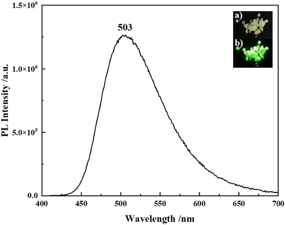 Figure 18: 
Fluorescence spectrum of compound 6 in powder (λ
ex = 400 nm) (insets: photos of the powder under ambient (top) and UV light at 365 nm (bottom)).
