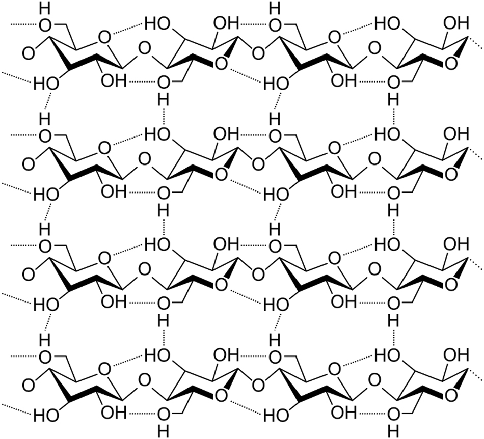 Figure 2: 
Parallel aggregation of polysaccharide macromolecules through hydrogen bonding (https://commons.wikimedia.org/wiki/File:Cellulose_strand.svg, file licensed under the Creative Commons Attribution-Share Alike 3.0 Unported license, free to copy, distribute and transmit. No changes were made. Author: Luca Laghi).
