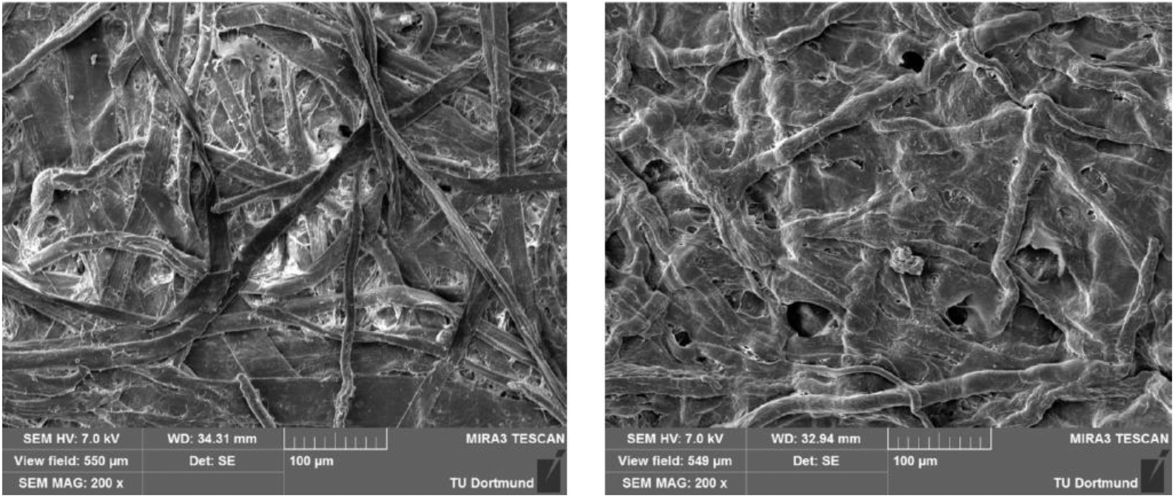 Figure 6: 
Electron microscopic images of raw paper (left) in comparison to Vulcanised Fibre (right).
35


