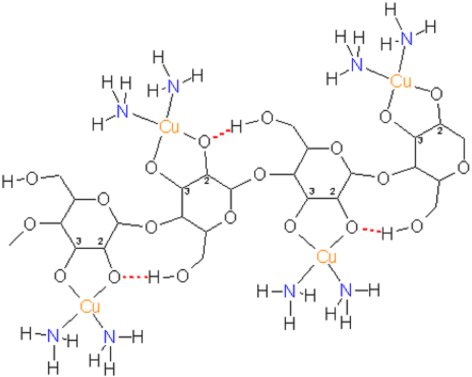 Figure 8: 
A polysaccharide chain after treatment with a copper(II) salt in aqueous ammonia. The treatment with zinc salts was long believed to lead to an analogous binding pattern (Zn for Cu, OH2 for NH3, but with different coordination numbers and motifs (below)).
21
 (Reproduced with written permission from ACS Publications).
