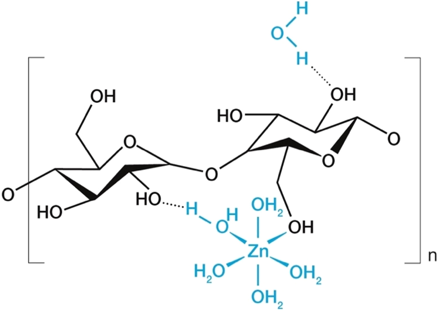 Figure 11a: 
Attachment of a [(Zn(H2O)5]2+ cation to a polysaccharide chain with random attachment of the liberated water molecule. (See Equations (1)–(3)).
8

,

24
 The charge-balancing [ZnCl4]2− anion is omitted. Note that there are no solvent molecules.
