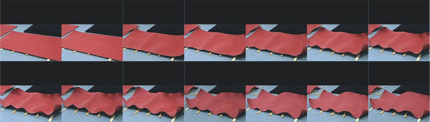 Figure 12c: 
Example of a sheet dried without external constraints.
