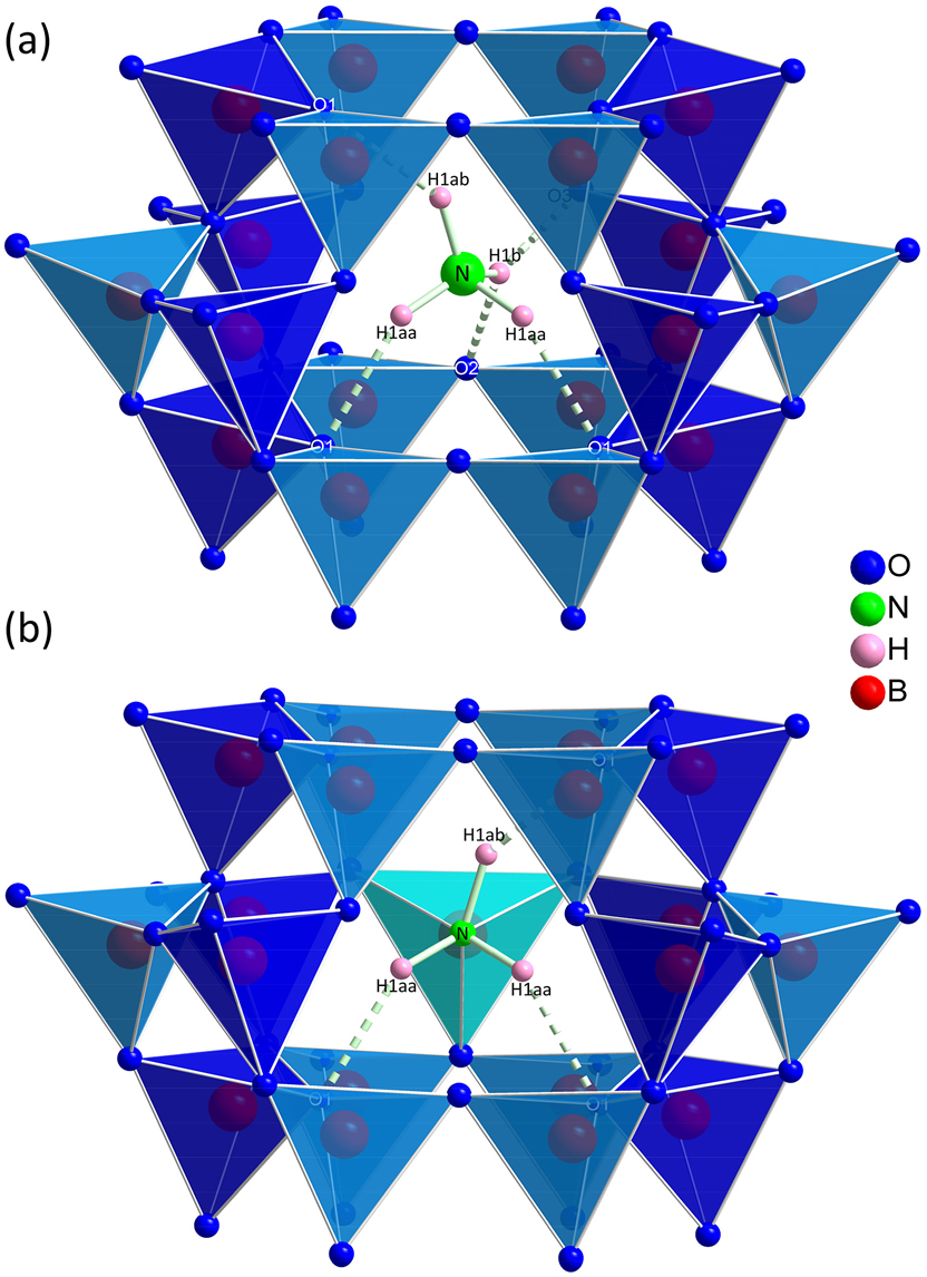 Figure 3: 
Visualization of the “cages”, that are surrounding either (a) the ammonium group [NH4] or (b) the [BO3NH3] units depending on the occupation of the B3 site. The hydrogen bonding situation is marked with dashed lines.
