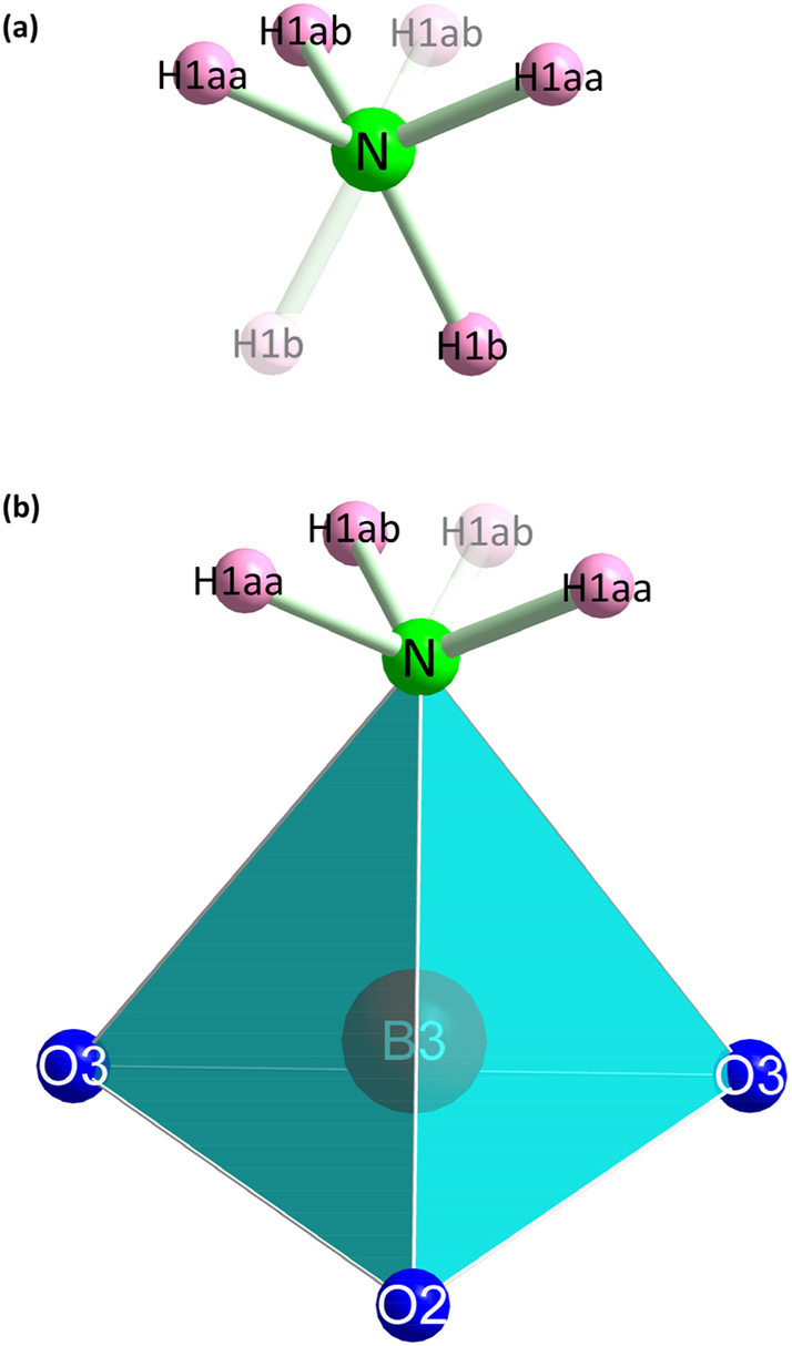 Figure 4: 
Depiction of the [NH4] (a) and [B3O3NH3] (b) units. Atoms H1ab and H1b are drawn nearly transparent due to the fact that only one of the two positions can be occupied at the same time (according to their site occupancy factors). A mirror plane passes perpendicularly through the N atom in both (a) and (b).
