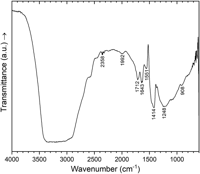 Figure 5: 
Single crystal IR spectrum of (NH4)0.64B4.36O6.72(OH)0.28(NH3)0.36 in the spectral region of 600–4,000 cm−1.
