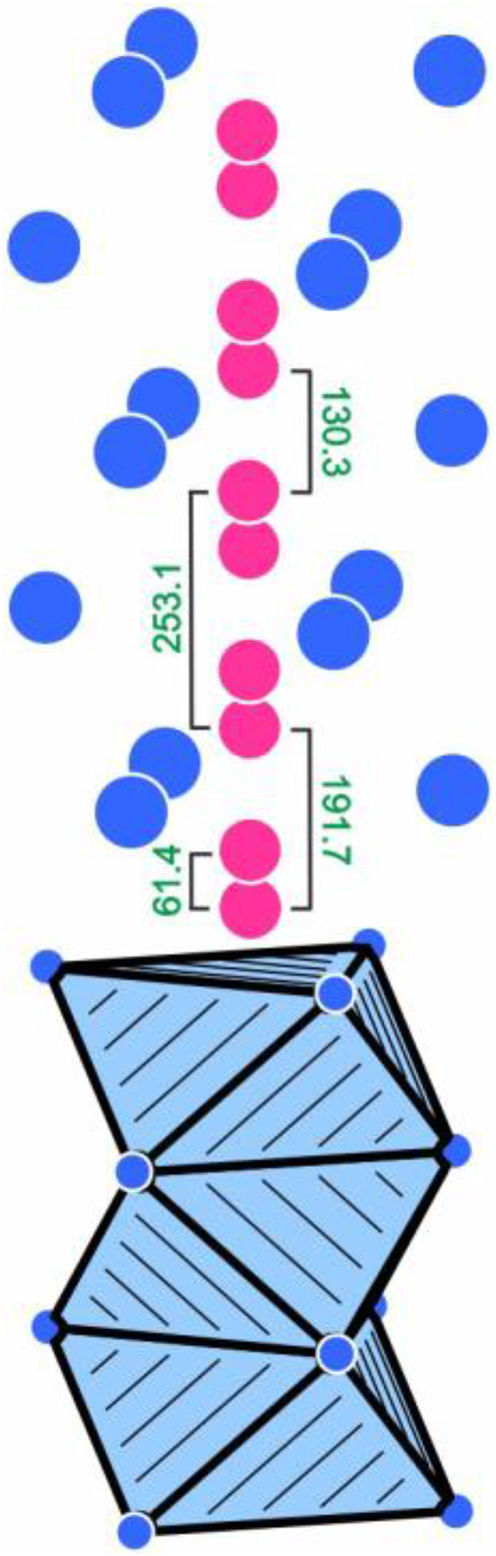 Figure 2: 
Cutout of the Sm6Rh30P19 structure showing the strands of face sharing P4@Rh56 octahedra that extend along the c axis. Rhodium and phosphorus atoms are drawn as blue and magenta circles, respectively. The different distances (pm) induced by the split refinement are indicated. Note that this 4e site for the P4 atoms is a split position with only 25 % occupancy. In a chemically reasonable ordered model, only P–P distances of ≥253 pm are realized. For details see text.
