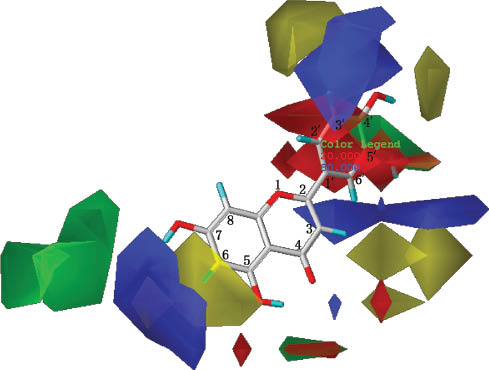 Figure 4: Luteolin, a flavonoid inhibitor of 5-LOX, within the contour of the CoMFA model.Based on the steric contours, the green areas mean that more bulky groups near these areas are favorable to increasing binding and the yellow areas mean that less bulky groups near these areas are favorable to increasing binding. Based on the electrostatic contours, the blue areas mean that more positive charges near these areas are favorable to increasing binding and the red areas mean that more negative charges near these areas are favorable to increasing binding.