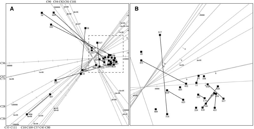 Figure 3: Principal component analysis (PCA) biplot of the amniotic fluid (AF) dataset displaying only the 17 axes that best represent the variation in the AF composition.In (A) all 32 lambs are shown, whereas (B) provides an enlarged display of the demarcated crowded square area in (A). The two members of each pair of twins are connected with a line.