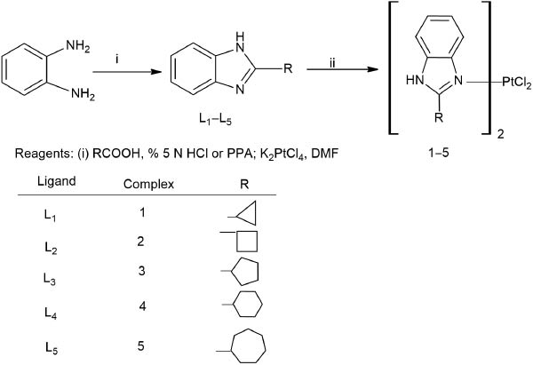 Scheme 1: Synthesis of carrier ligand and Pt(II) complexes.