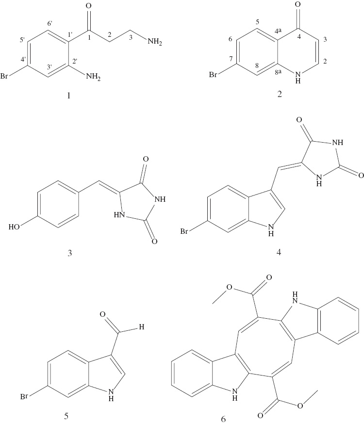 Figure 1: Chemical structures of the isolated compounds 3-amino-1-(2-amino-4-bromophenyl)propan-1-one (1), 7-bromoquinolin-4(1H)-one (2), (Z)-5-(4-hydroxybenzylidene)-hydantoin (3), (Z)-6-bromo-3′-deimino-2′,4′-bis(demethyl)-3′-oxoaplysinopsin (4), 6-bromoindole-3-carbaldehyde (5), and caulerpin (6).