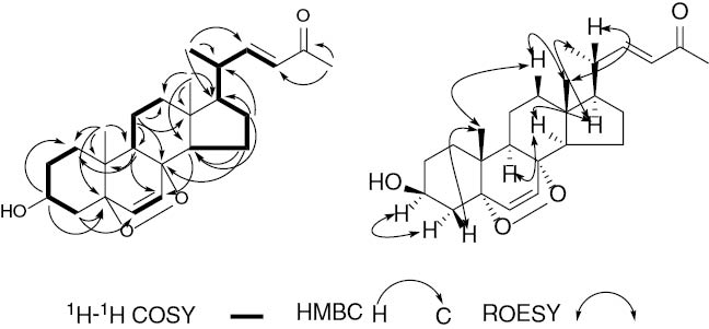 Figure 2: Selected 2D NMR correlations of 1.