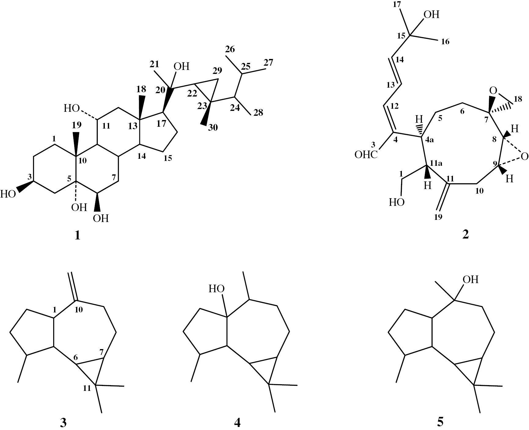 Figure 1: Compounds isolated from the soft coral Xenia umbellate.