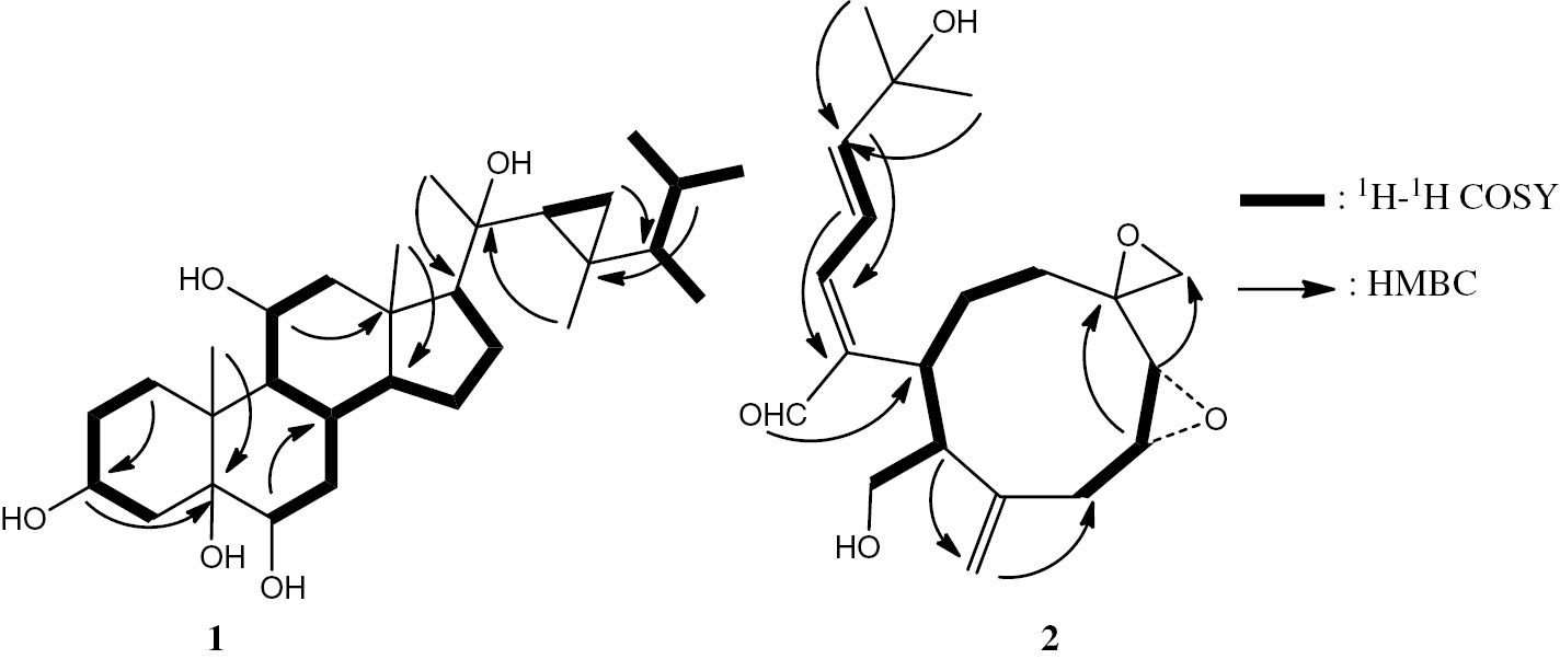 Figure 2: Selected 1H-1H COSY and HMBC correlations of 1 and 2.