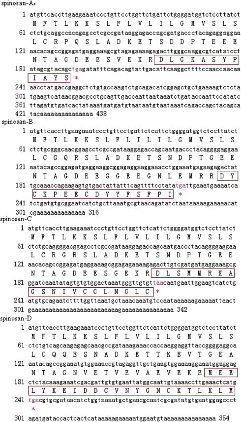 Figure 1: Nucleotide and deduced amino acid sequences encoding AMP precursors. The box delineates the mature peptide and the asterisk indicates the stop codon.