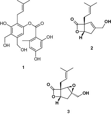 Figure 2: Compounds isolated from S. rameale (2511). 1, MS-3; 2, vibralactone; and 3, vibralactone B.