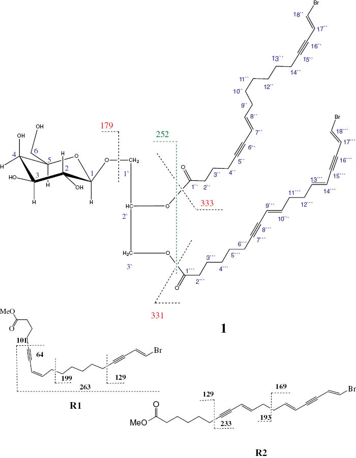 Figure 2: Fragmentation of LCMS spectrum of compound 1 and prominent mass spectral fragment peaks (m/z) of R1 and R2.