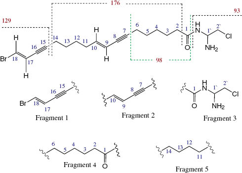 Figure 4: Fragmentation of LCMS spectrum of compound 2 and its main fragments.