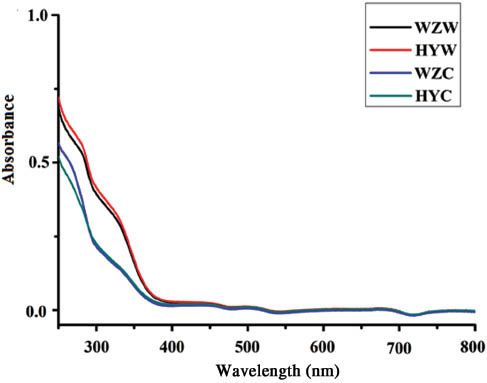 Figure 2: Absorbance of the filtrates of WSE in the range of 250–800 nm.