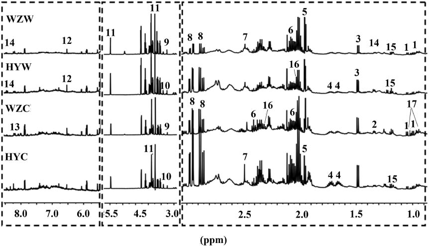 Figure 3: Representative 600 MHz 1H NMR spectra of WSE from the four groups of AR.