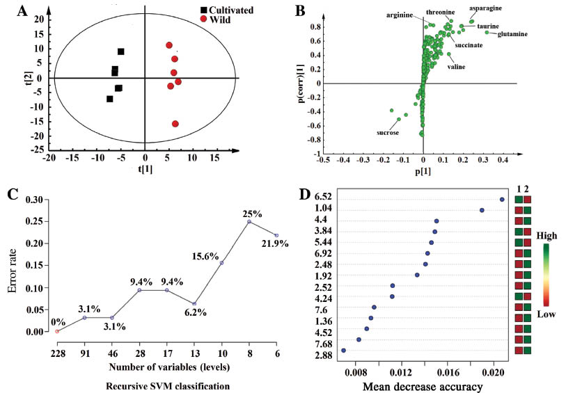 Figure 5: Scores plot (A), loadings plot (B), R-SVM classification plot (C) and variable importance plot (D) of the OPLS-DA and R-SVM analysis of NMR data of astragali radix.