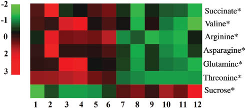 Figure 6: Heatmap of relative qualification of key metabolites. 1–3, Wild AR of Shanxi Wuzhai (WZW); 4–6, wild AR of Shanxi Hunyuan (HYW); 7–9, cultivated AR of Shanxi Wuzhai (WZC); 10–12, cultivated AR of Shanxi Hunyuan (HYC). *p<0.05, **p<0.01.